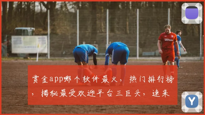 赏金app哪个软件最火，热门排行榜，揭秘最受欢迎平台三巨头，速来围观